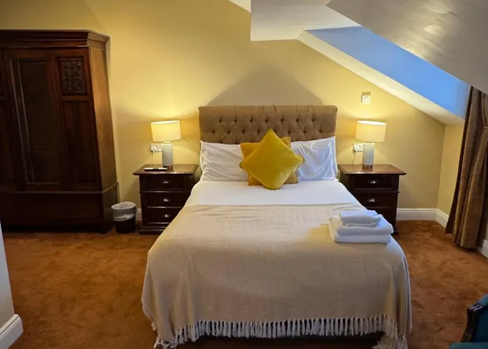 The Sardinian 科芙