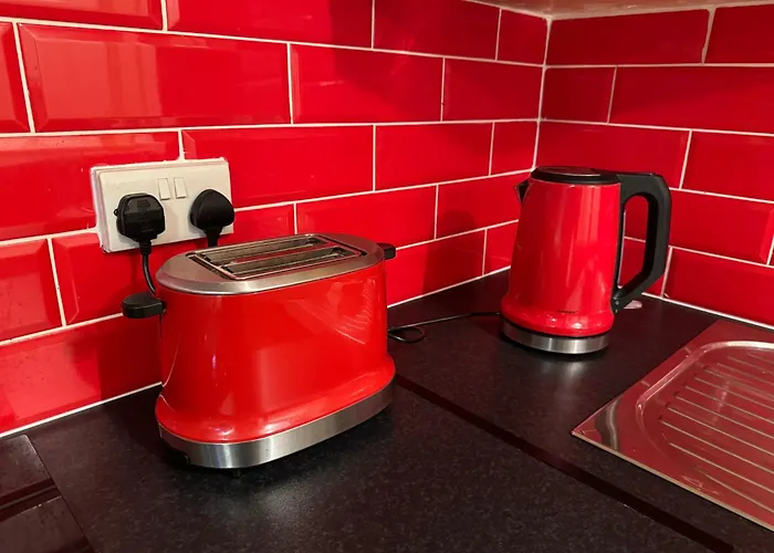 The Sardinian 科芙